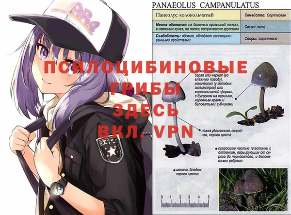 spice Абдулино