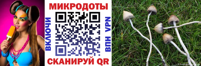 Псилоцибиновые грибы мицелий  Зеленодольск 