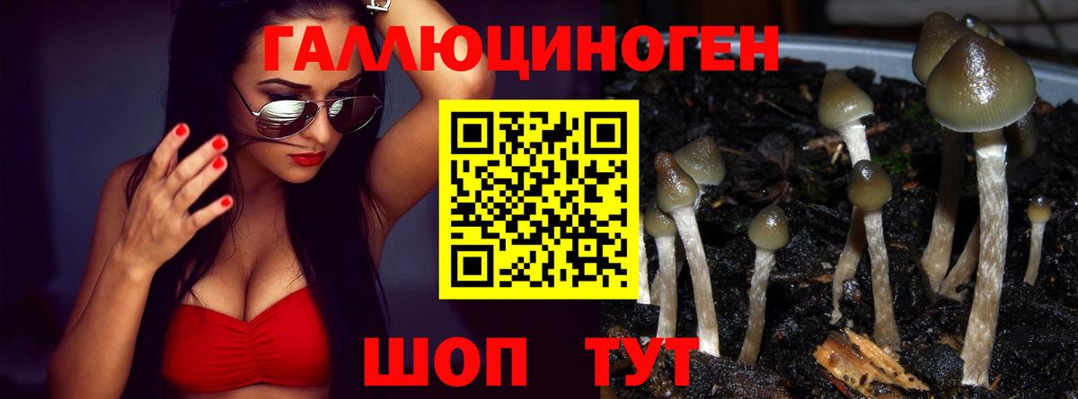 Псилоцибиновые грибы мицелий  Галлюциногенные грибы Magic Shrooms  Зеленодольск  Вход с VPN 